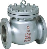 Check Valve (ZH-001)