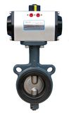 Pneumatic Actuator with Butterfly Valve 