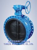 Worm Gear Butterfly Valve (D341X-10/16)