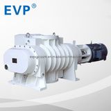 Roots Vacuum Pump /Coating Film Pump (ZJP-600 (600L/S))