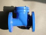 Cast Iron/Ductile Iron Ball Check Valve