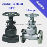 Forged Steel Gate Valve (NPT, SW, RF)