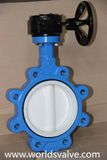 PTFE Coating Butterfly Valve