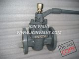 Eccentric Single / Double Flush Plug Valve (X43F)