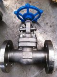 High Pressure Ss Gate Valve Pn64