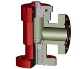 Positive Choke Valve