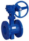 Eccentric Worm Gear Driven Butterfly Valve