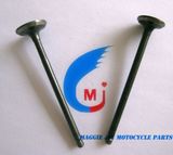 Motorcycle Parts Motorcycle Valve Bajaj 135