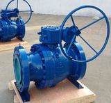 Trunnion Mounted Gear Operated Ball Valve