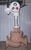 Control Globe Valve (Electric)