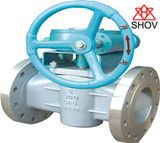 Plug Valve