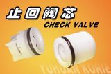 Check Valve