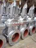 Zhongya Valve Co., Ltd.