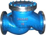 Lifting Check Valve -01