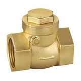 Brass Check Valve (SS6010)