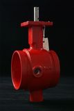 Grooved End Butterfly Valve