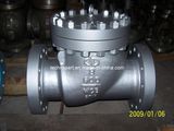 Swing Check Valve