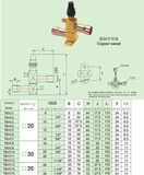 With Brackets Vertical Valves 1