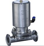 Pneumatic Diaphragm Valve (110029)