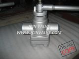 Inverted Pressure Balance Lubricated Plug Valve (X43)