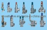 Safety Relief Valves