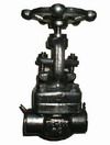 Globe Valve