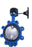 Cast Iron Lug Type Butterfly Valve Manufacturer Wormgear Oprated