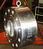 Stainless Steel Lug Type Check Valve