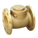 Brass Flanged Check Valve (SS6030)