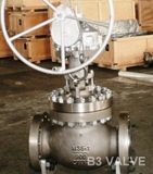 Monel Globle Valve