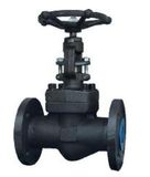 API 602 Forged Globe Valve