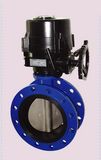 Butterfly Valve -2