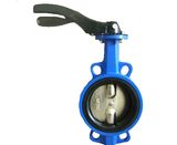 Wafer Butterfly Valve with Lever Manufacturer