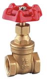 Brass Gate Valve (1001)