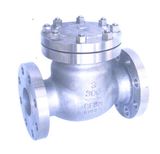 Check Valve - 3