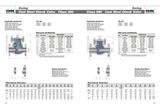 Cast Steel Swing Check Valve (Class 300)