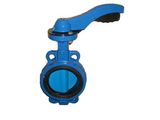 Special Lining Desulphurization Butterfly Valve (B-002)