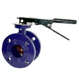 Butterfly Valve