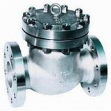 Swing Check Valve