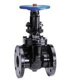 Rising Stem Iron Gate Valve (F-503)