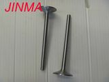 Jinma Tractor Parts- Intake Valve