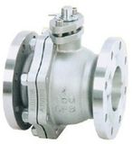 Flange End Isolation Ball Valve (Q41F)