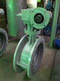 Wcb Dn400 Turbo Butterfly Valve (D343H-DN400-PN10)