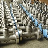 Forged Steel Globe Valve