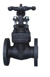 Forged Steel Flange Type Gate Valve (Z41)