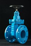 Double Flanged Gate Valve (RGV010)