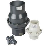 PVC Check Valve