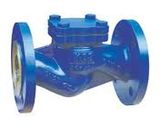 DIN Standard Check Valve (H41H-16C)