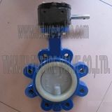 Viton Seat Lug Type Double-Axis Butterfly Valve