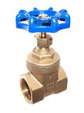 Brass Gate Valve NPT Female/Check Valve